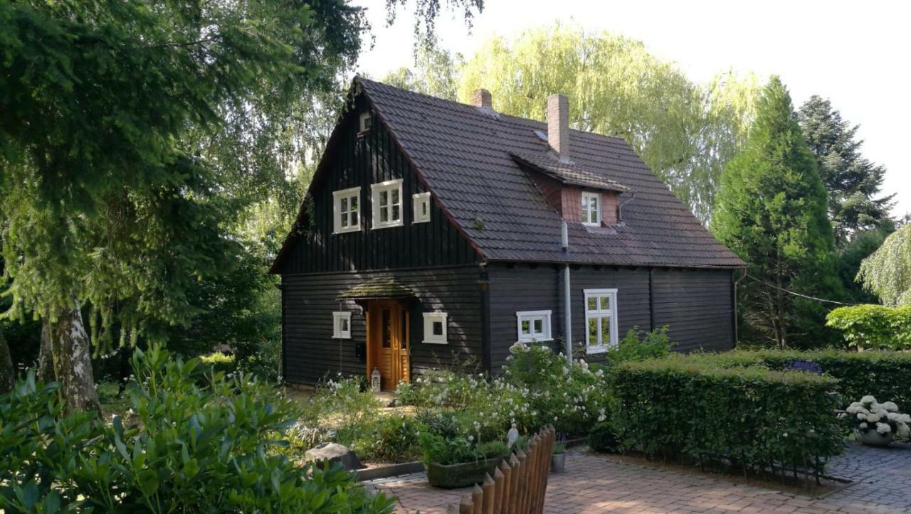 Villa "Haus Am Knobben" à Uslar Extérieur photo