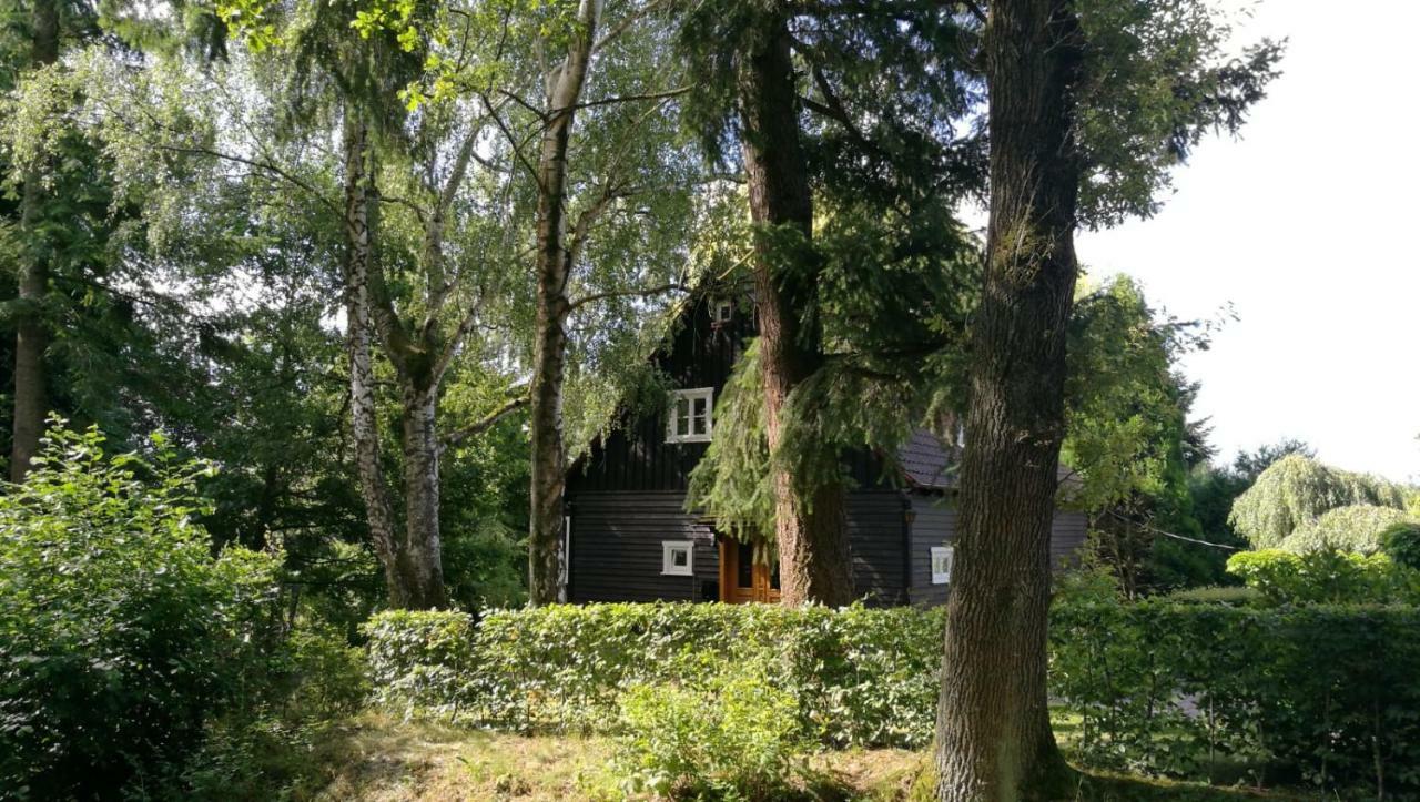 Villa "Haus Am Knobben" à Uslar Extérieur photo