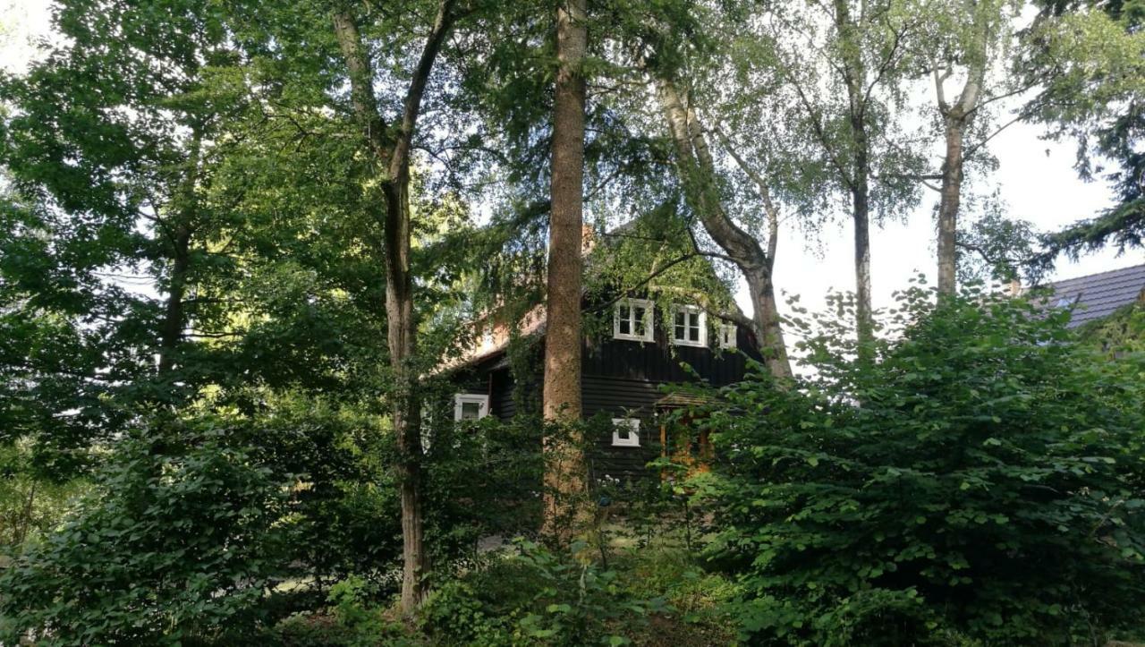 Villa "Haus Am Knobben" à Uslar Extérieur photo
